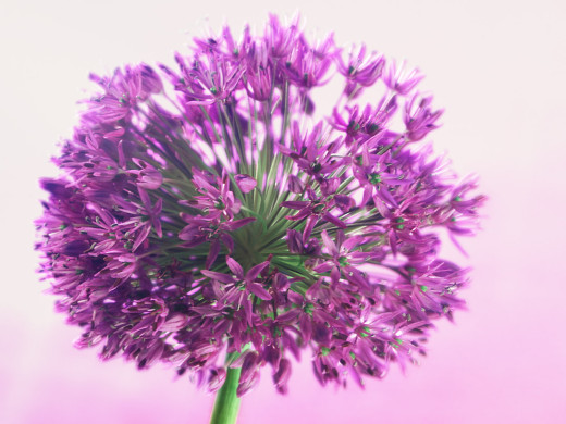 426427 (a): :1600x1200